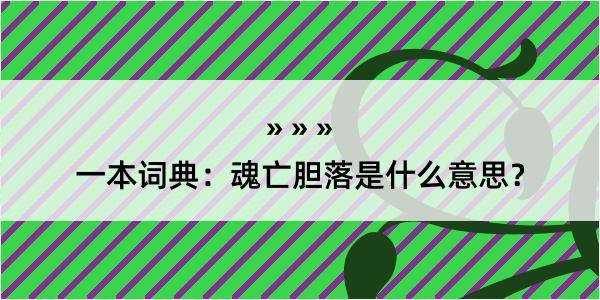 一本词典：魂亡胆落是什么意思？