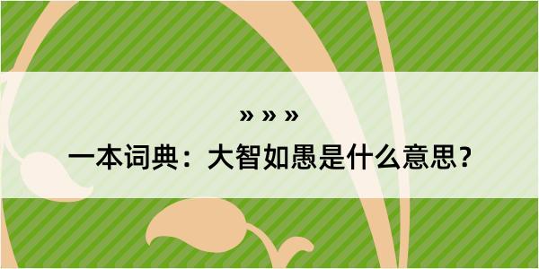 一本词典：大智如愚是什么意思？