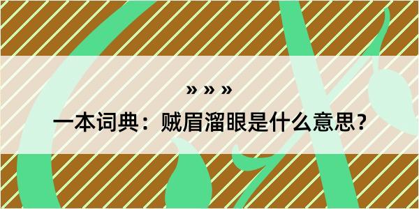 一本词典：贼眉溜眼是什么意思？