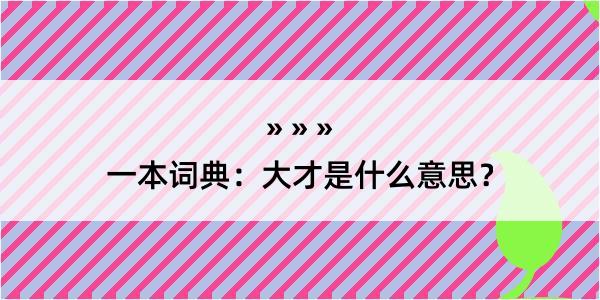 一本词典：大才是什么意思？