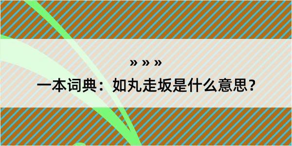 一本词典：如丸走坂是什么意思？