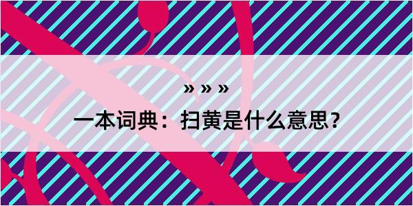 一本词典：扫黄是什么意思？