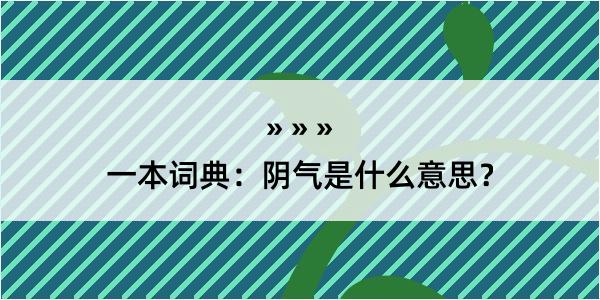 一本词典：阴气是什么意思？