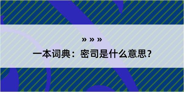 一本词典：密司是什么意思？