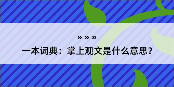 一本词典：掌上观文是什么意思？