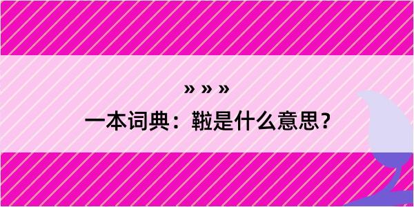 一本词典：鞡是什么意思？