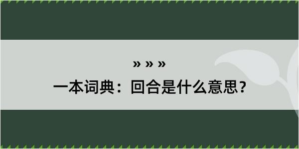 一本词典：回合是什么意思？