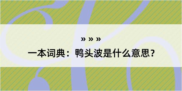 一本词典：鸭头波是什么意思？