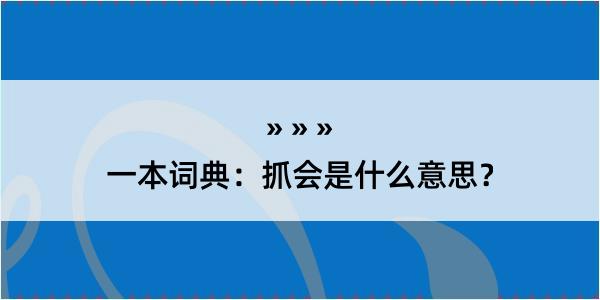 一本词典：抓会是什么意思？