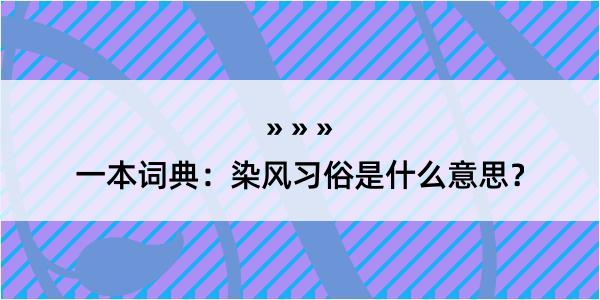 一本词典：染风习俗是什么意思？