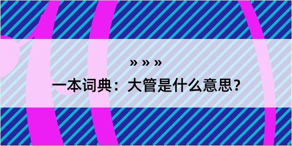 一本词典：大管是什么意思？