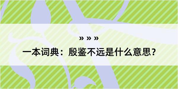 一本词典：殷鉴不远是什么意思？