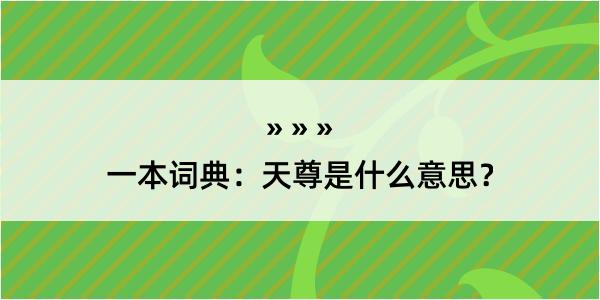 一本词典：天尊是什么意思？