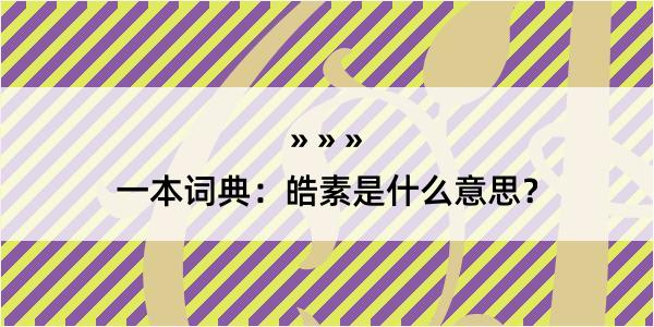 一本词典：皓素是什么意思？