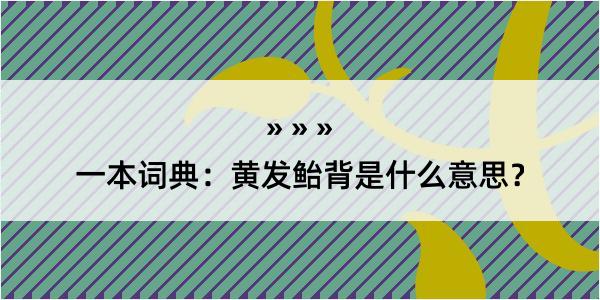 一本词典：黄发鲐背是什么意思？