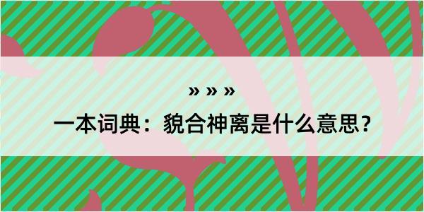 一本词典：貌合神离是什么意思？