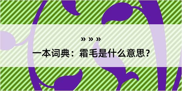 一本词典：霜毛是什么意思？