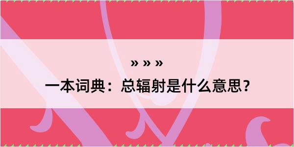 一本词典：总辐射是什么意思？