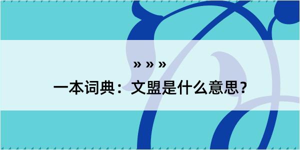 一本词典：文盟是什么意思？