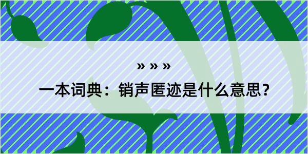 一本词典：销声匿迹是什么意思？