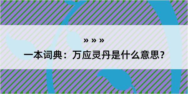 一本词典：万应灵丹是什么意思？