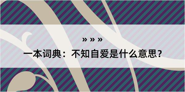 一本词典：不知自爱是什么意思？