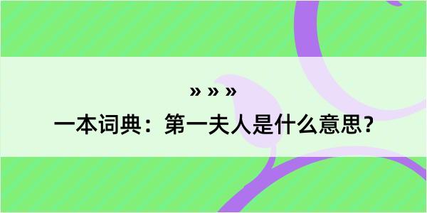 一本词典：第一夫人是什么意思？