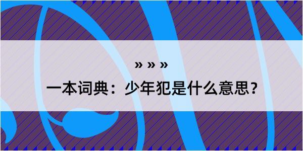 一本词典：少年犯是什么意思？