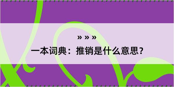 一本词典：推销是什么意思？