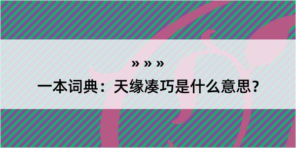 一本词典：天缘凑巧是什么意思？