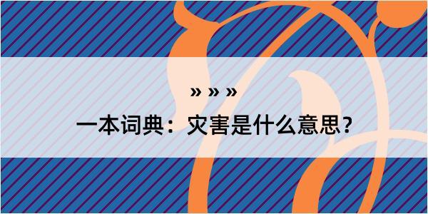 一本词典：灾害是什么意思？