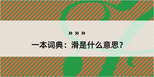 一本词典：滑是什么意思？