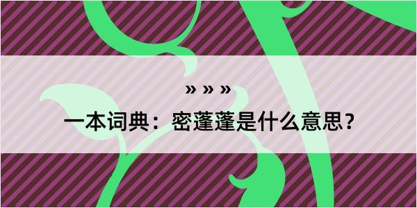 一本词典：密蓬蓬是什么意思？