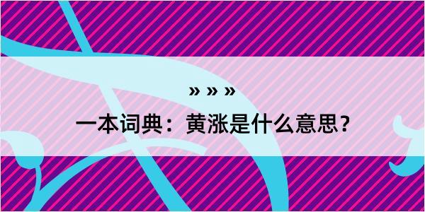 一本词典：黄涨是什么意思？