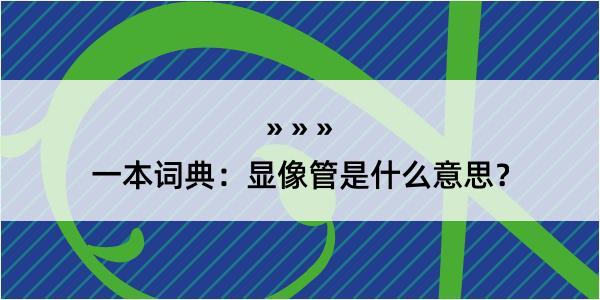 一本词典：显像管是什么意思？