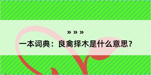 一本词典：良禽择木是什么意思？