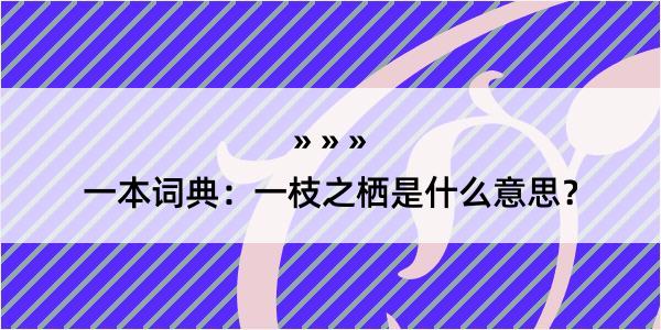 一本词典：一枝之栖是什么意思？