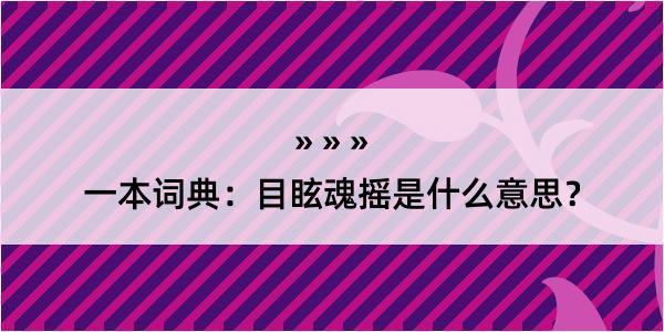 一本词典：目眩魂摇是什么意思？