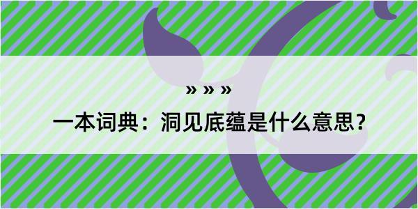 一本词典：洞见底蕴是什么意思？