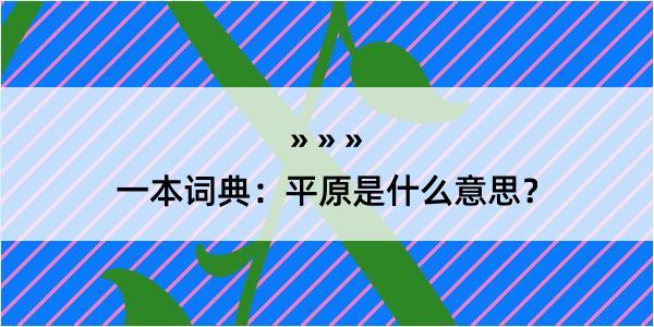 一本词典：平原是什么意思？