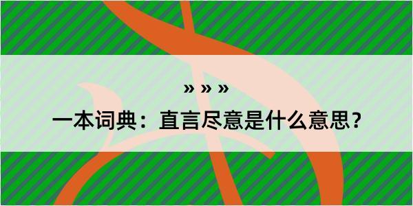 一本词典：直言尽意是什么意思？