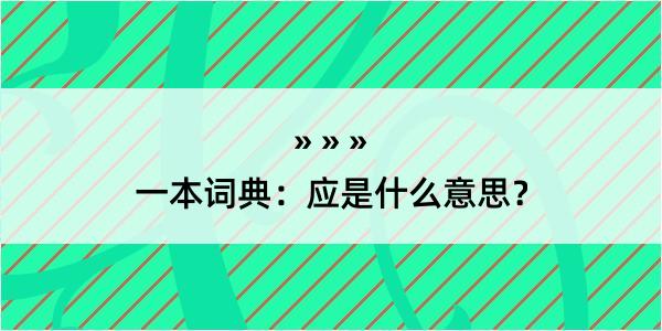 一本词典：应是什么意思？