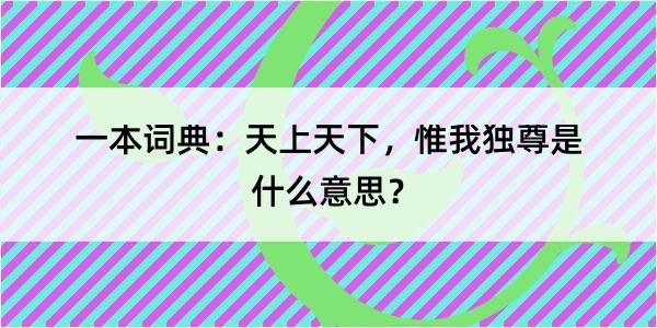 一本词典：天上天下，惟我独尊是什么意思？