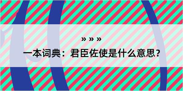 一本词典：君臣佐使是什么意思？