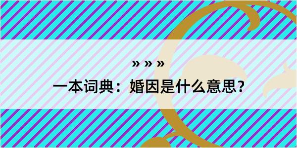 一本词典：婚因是什么意思？