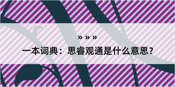 一本词典：思睿观通是什么意思？