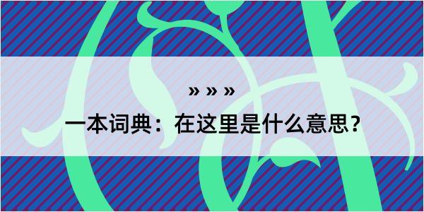 一本词典：在这里是什么意思？