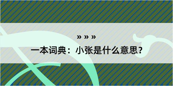 一本词典：小张是什么意思？