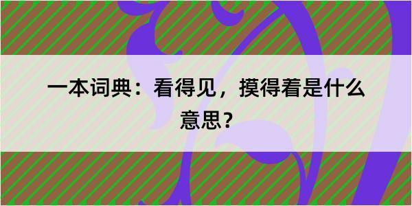 一本词典：看得见，摸得着是什么意思？