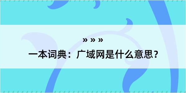 一本词典：广域网是什么意思？